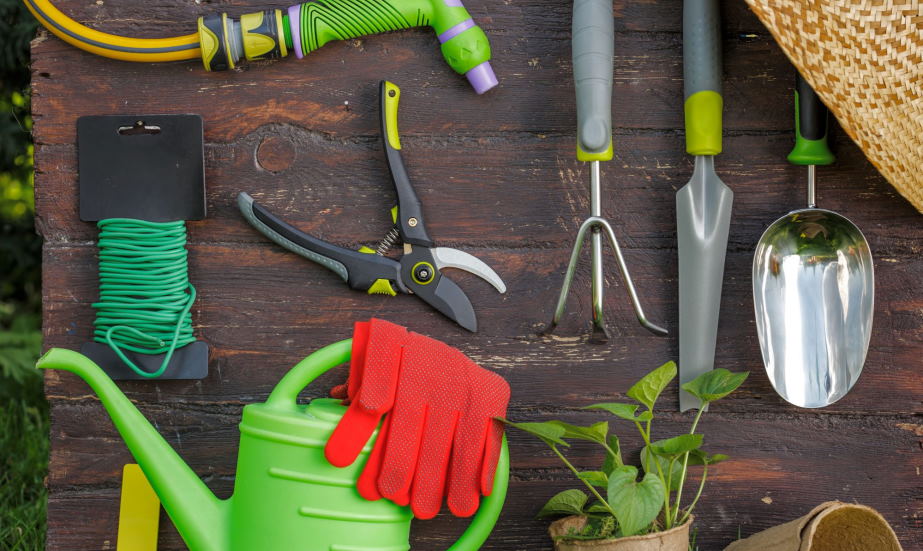 Essential Tools for Pruning - FineGardening